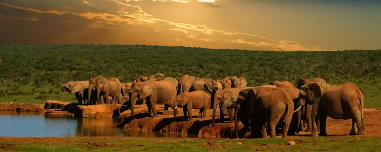 Luxurious 5-Star Adventure-1